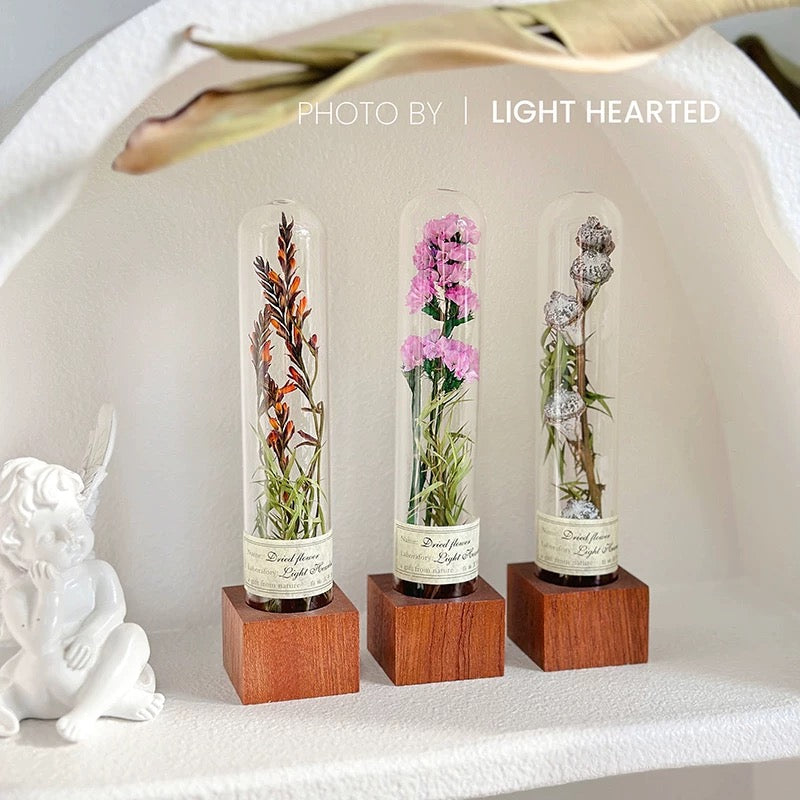 自然 MagniCrystal-127