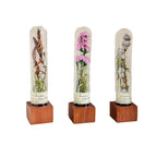 自然 MagniCrystal-127