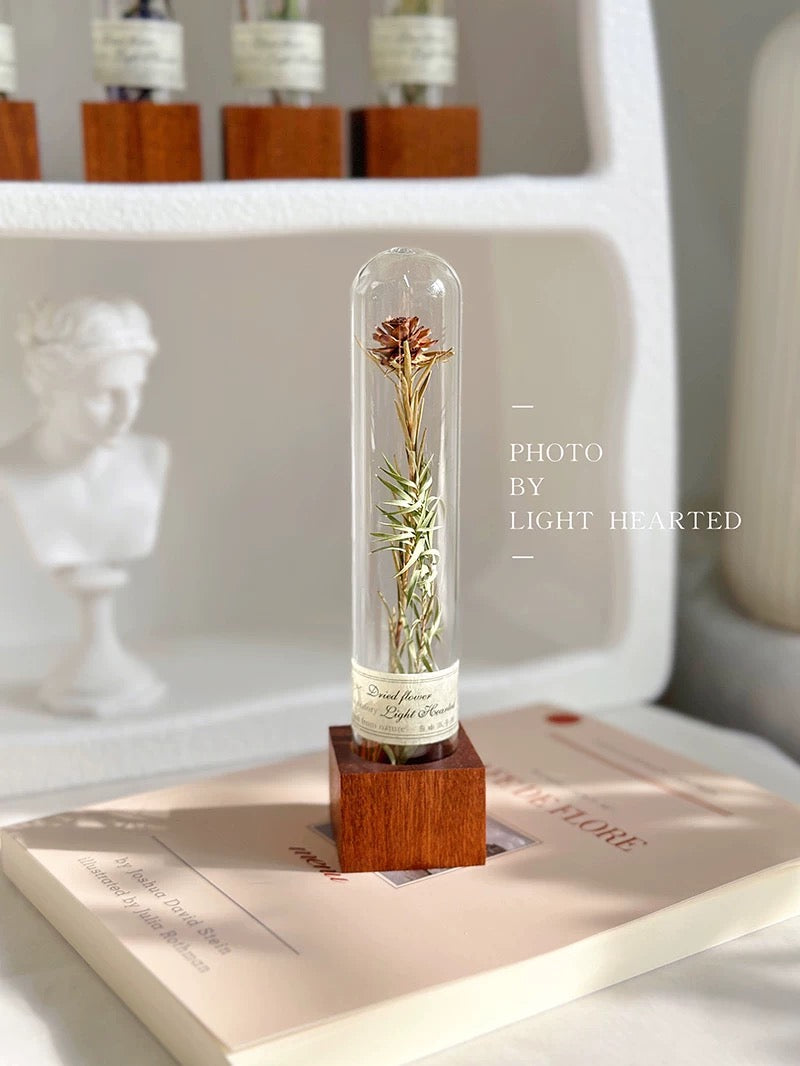 自然 MagniCrystal-127