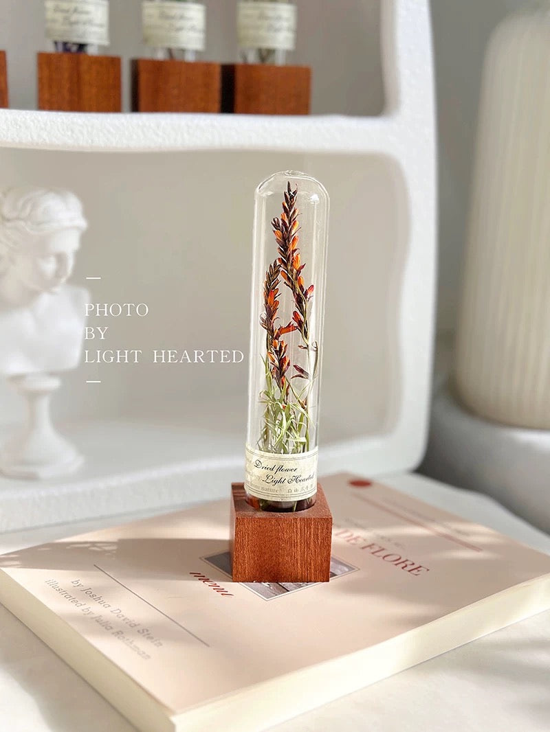 自然 MagniCrystal-127