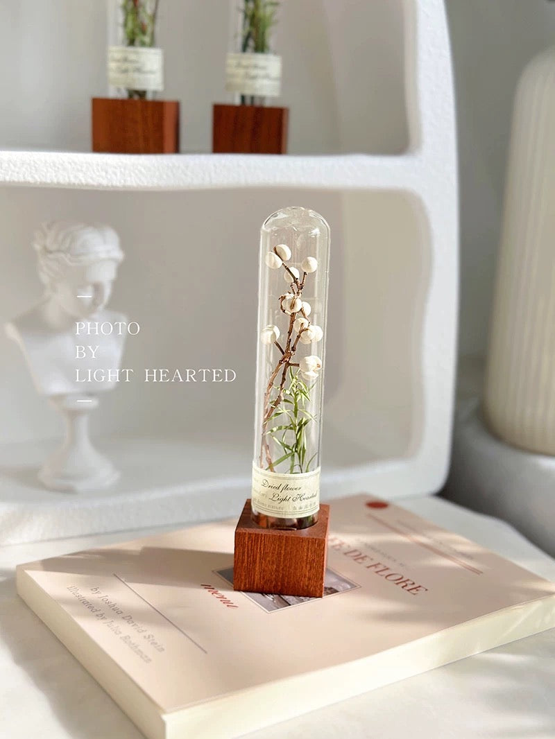 自然 MagniCrystal-127