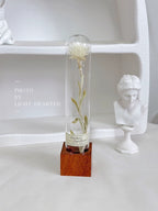 自然 MagniCrystal-127