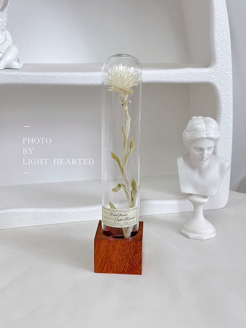 自然 MagniCrystal-127