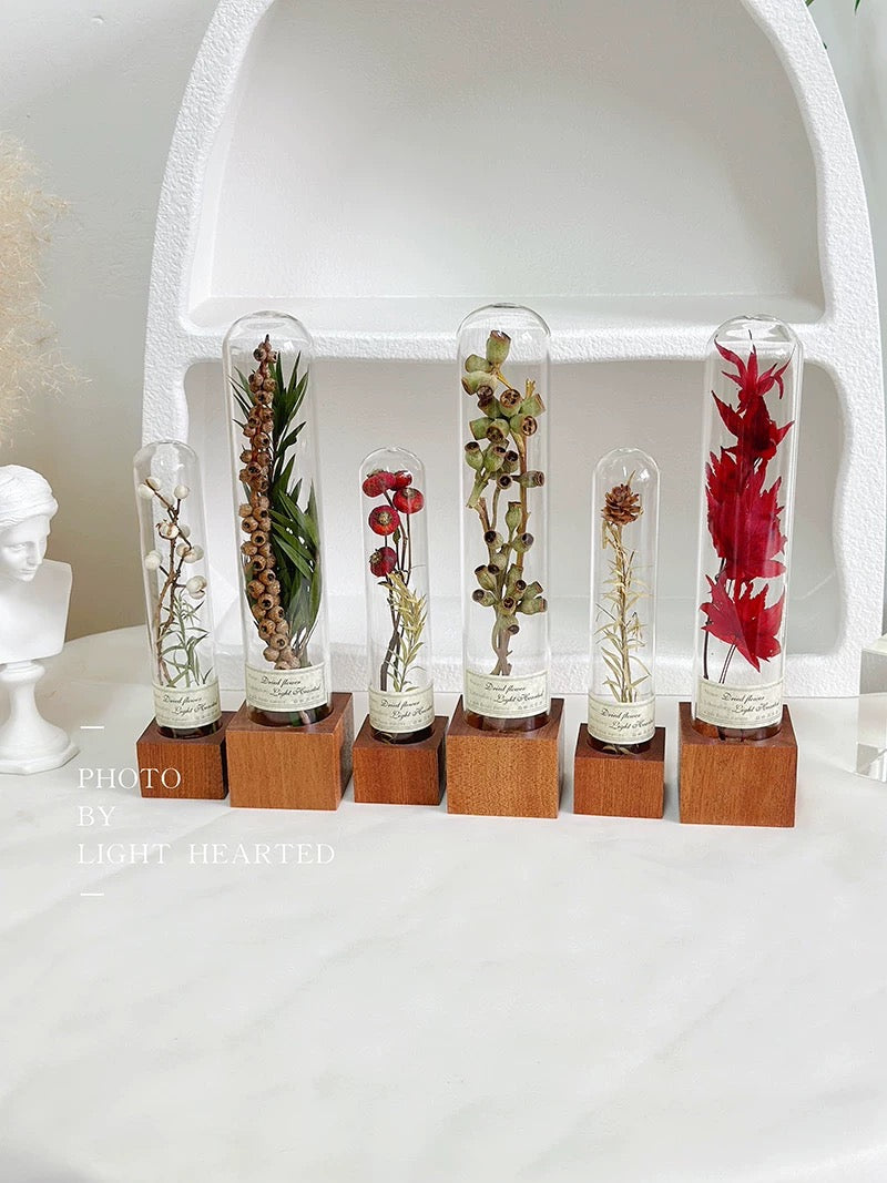 自然 MagniCrystal-127