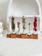 自然 MagniCrystal-127