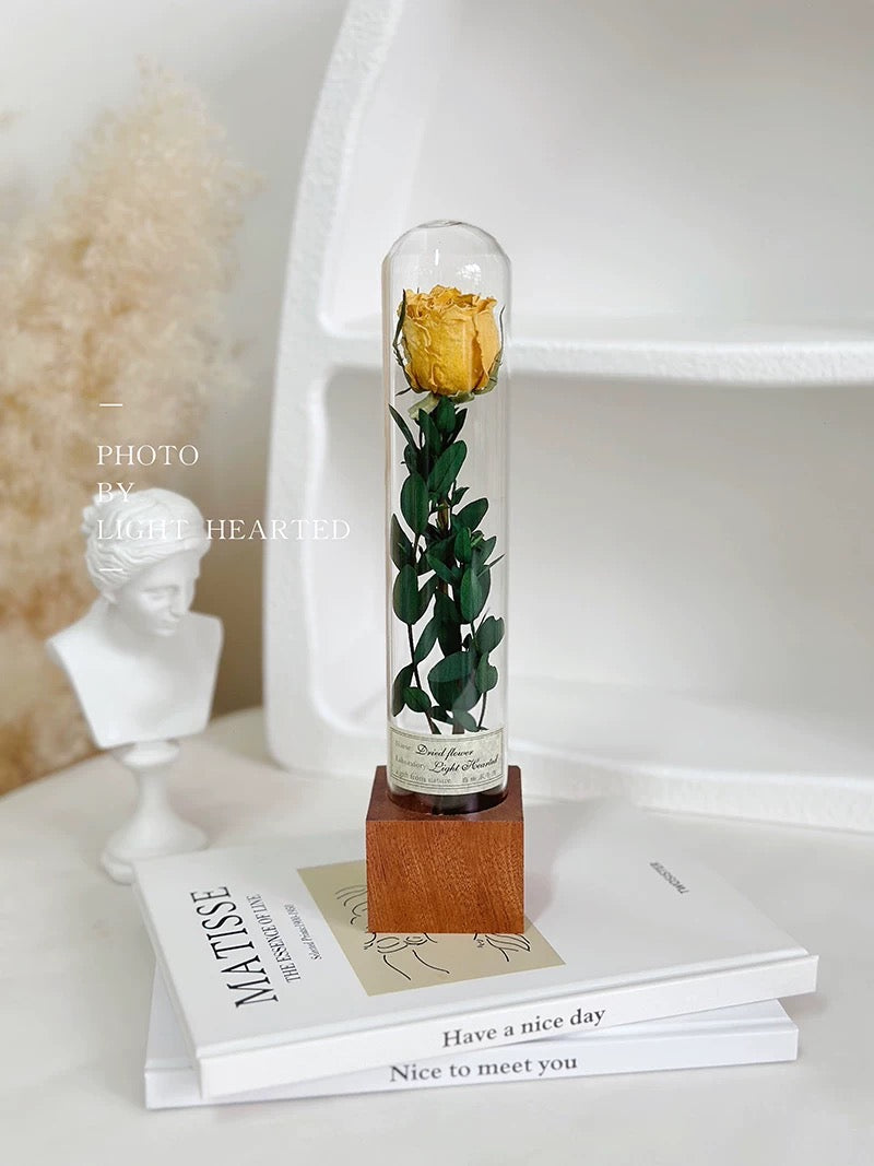 自然 MagniCrystal-127