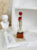 自然 MagniCrystal-127