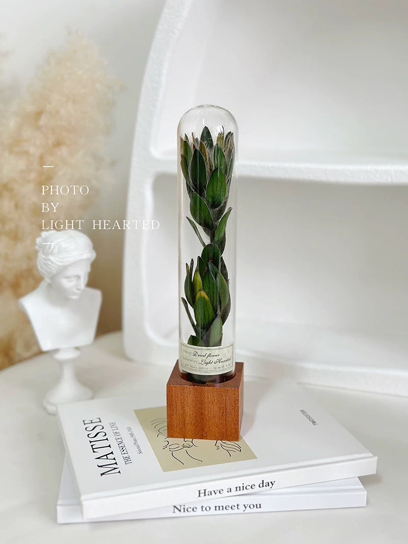 自然 MagniCrystal-127