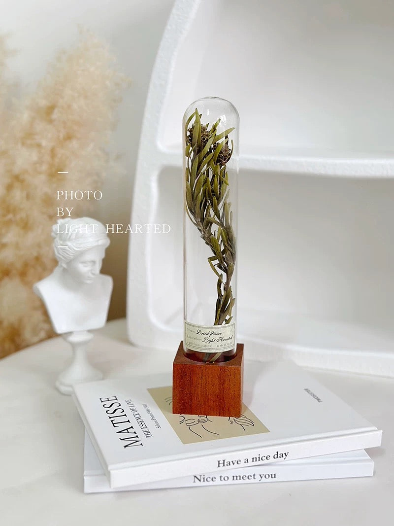 自然 MagniCrystal-127