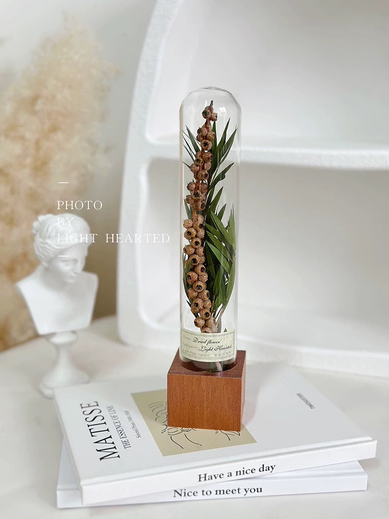 自然 MagniCrystal-127