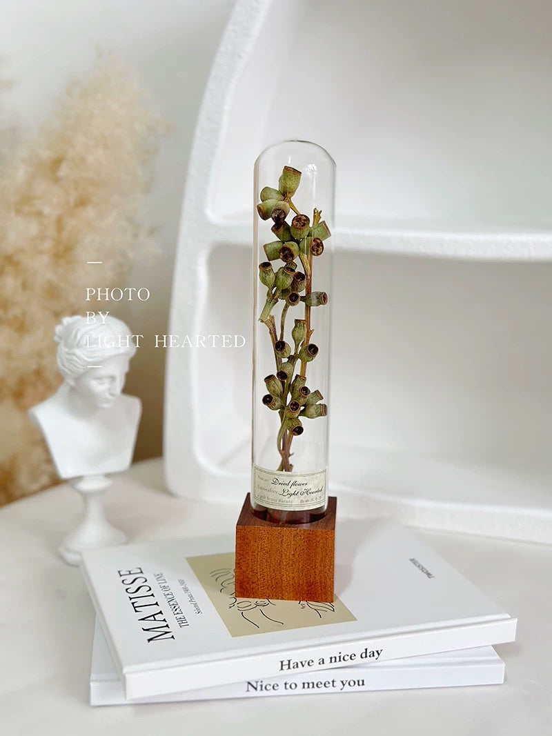 自然 MagniCrystal-127