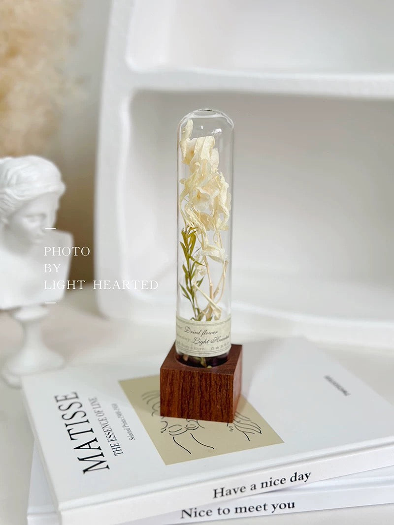 自然 MagniCrystal-127