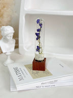 自然 MagniCrystal-127