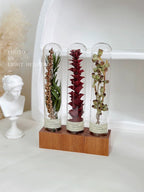 自然 MagniCrystal-127