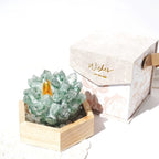 Spiritual Crystal Magnetic Purifying Tray-235