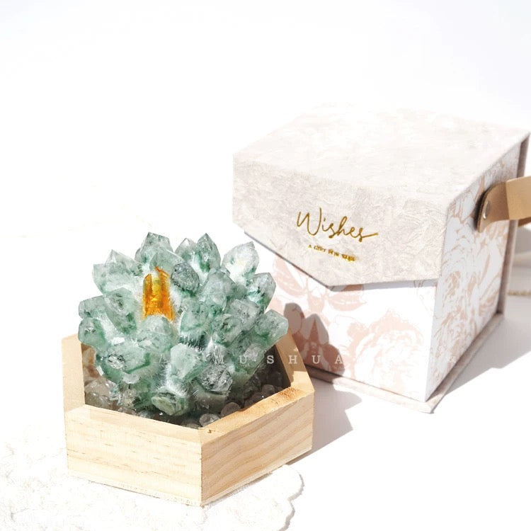 Spiritual Crystal Magnetic Purifying Tray-235