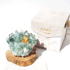 Spiritual Crystal Magnetic Purifying Tray-235