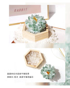 Spiritual Crystal Magnetic Purifying Tray-235