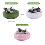 Aroma & Crystal Utopia Piece-159