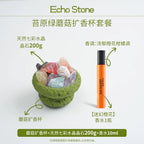 Ceramic Mushroom Crystal - Plant Essential Oil Diffuser-57