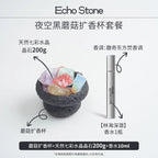 Ceramic Mushroom Crystal - Plant Essential Oil Diffuser-57