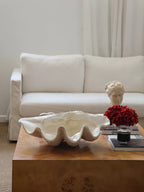 Crystal Shell with Grace-145