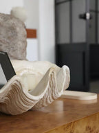 Crystal Shell with Grace-145