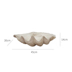 Crystal Shell with Grace-145