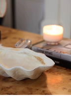 Crystal Shell with Grace-145