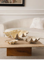 Crystal Shell with Grace-145