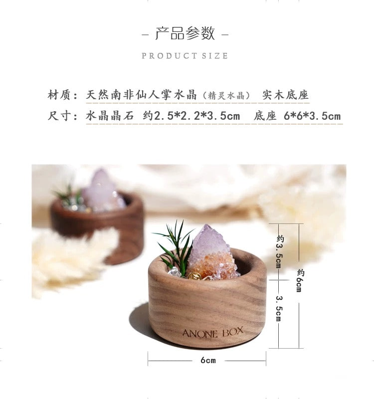 South African Cactus Crystal & Greenery Ornament-118