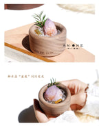 South African Cactus Crystal & Greenery Ornament-118