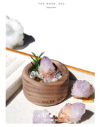 South African Cactus Crystal & Greenery Ornament-118