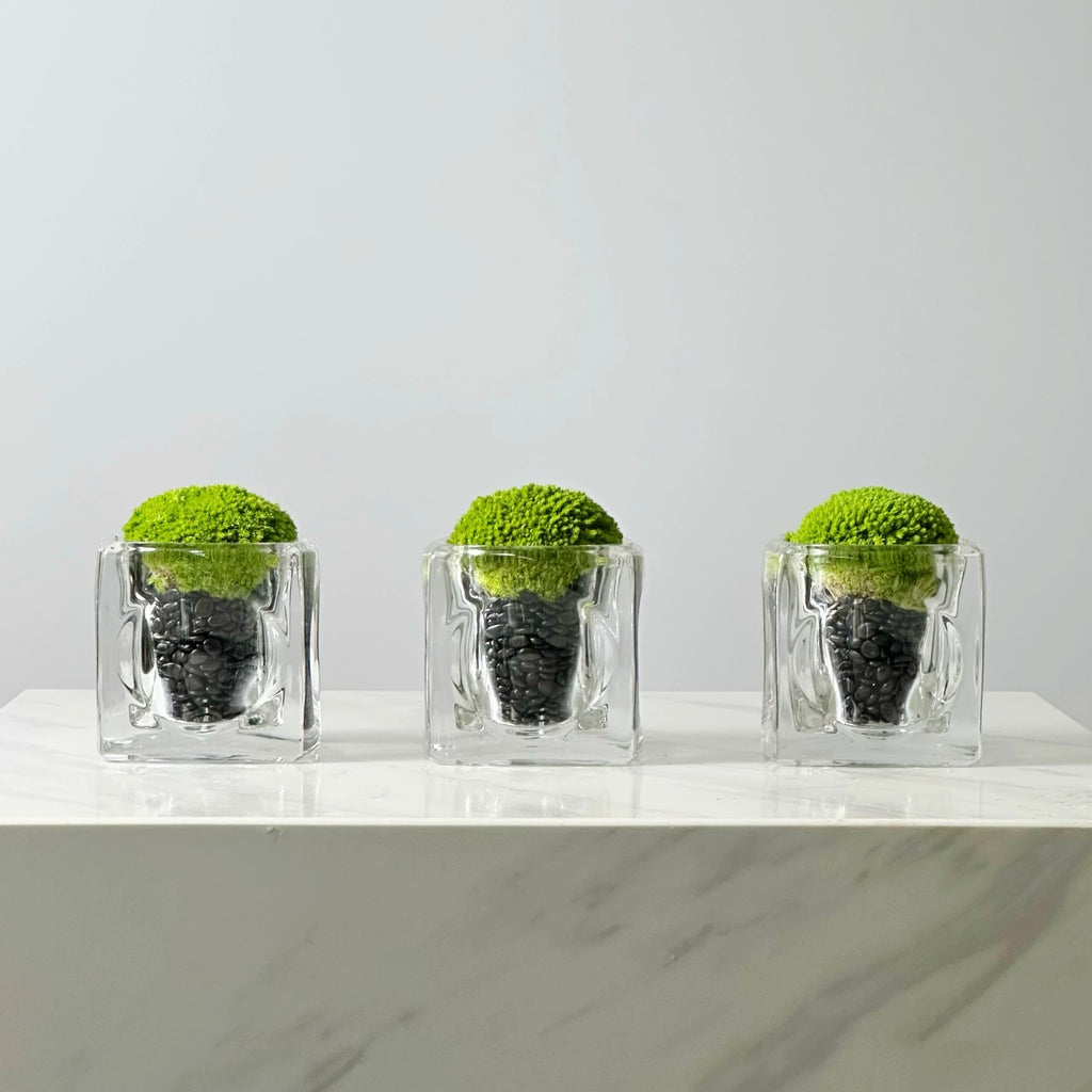 Green Plant Crystal Spirit Purification Combination-65.96