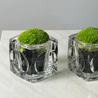 Green Plant Crystal Spirit Purification Combination-65.96