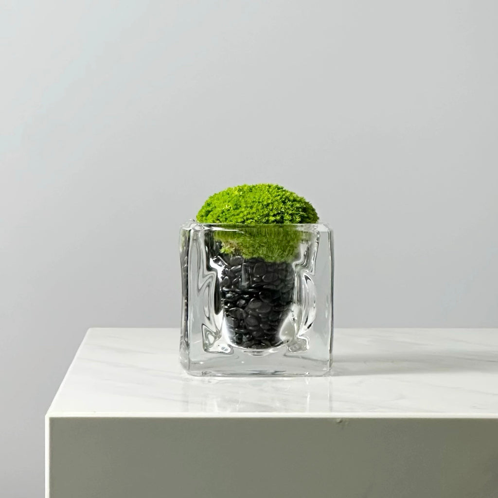 Green Plant Crystal Spirit Purification Combination-65.96