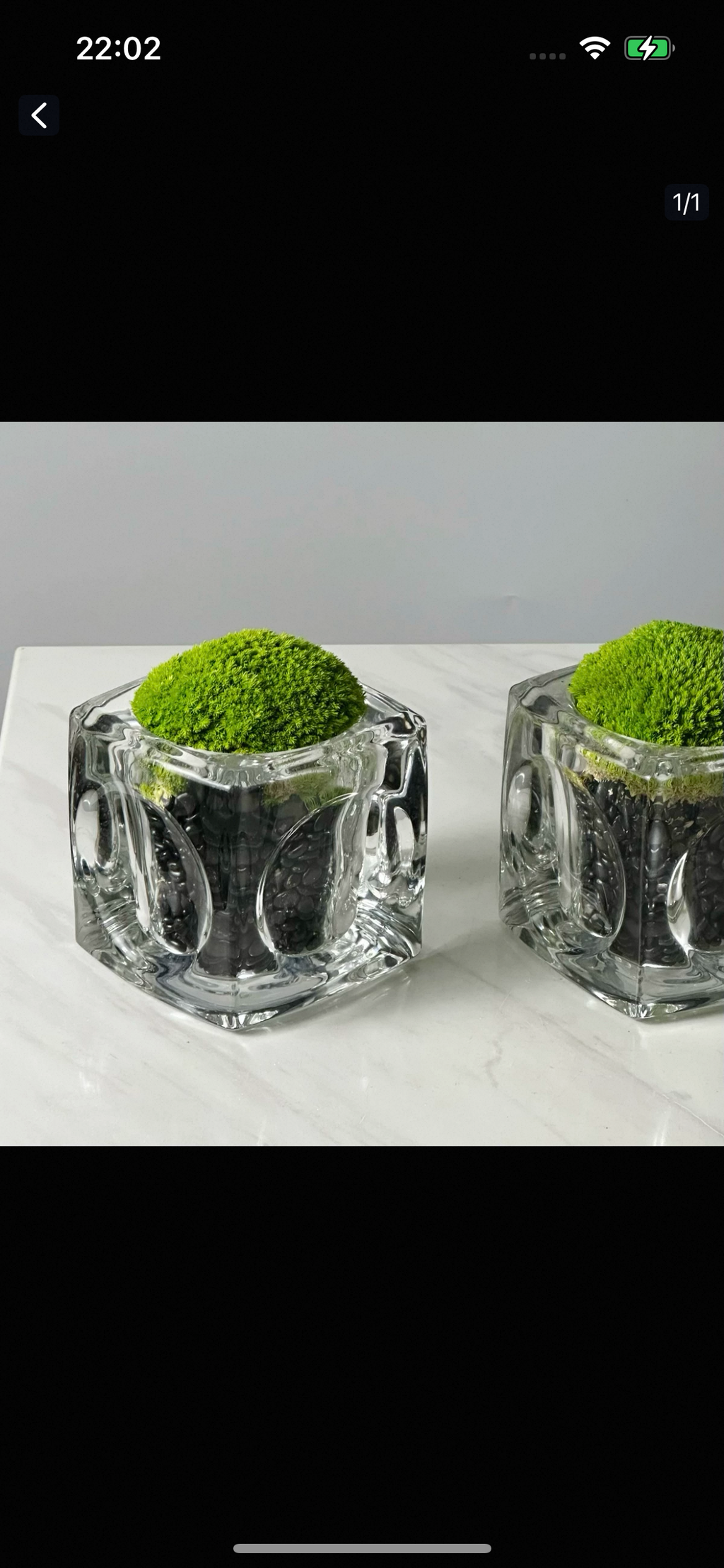 Green Plant Crystal Spirit Purification Combination-65.96