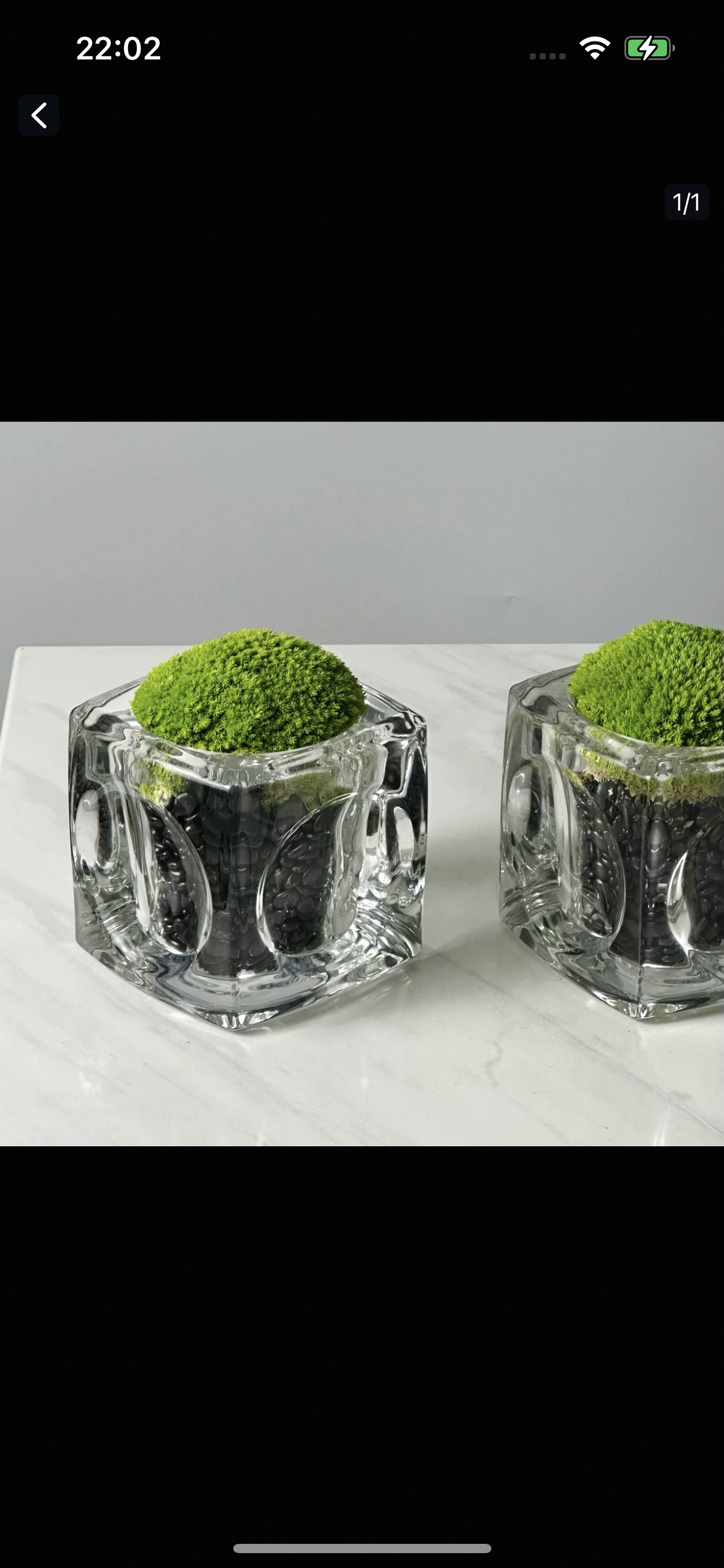 Green Plant Crystal Spirit Purification Combination-65.96