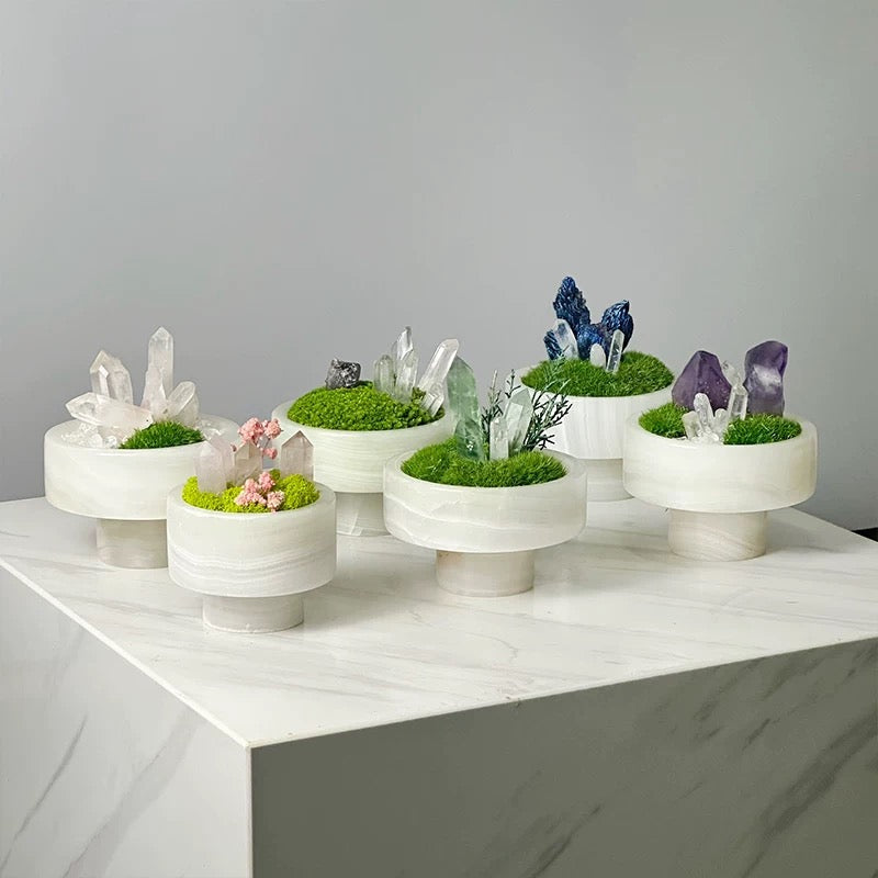 Crystal and Plant Symbiotic Mini Scene-283