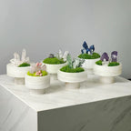 Crystal and Plant Symbiotic Mini Scene-283