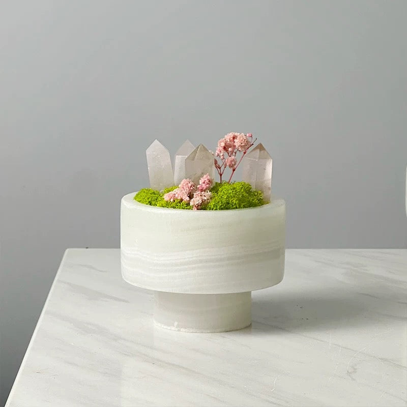 Crystal and Plant Symbiotic Mini Scene-283