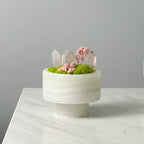 Crystal and Plant Symbiotic Mini Scene-283