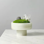 Crystal and Plant Symbiotic Mini Scene-283