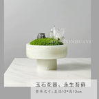 Crystal and Plant Symbiotic Mini Scene-283