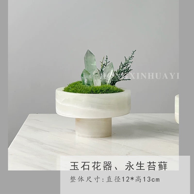 Crystal and Plant Symbiotic Mini Scene-283