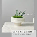 Crystal and Plant Symbiotic Mini Scene-283