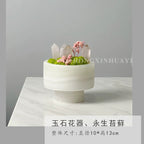 Crystal and Plant Symbiotic Mini Scene-283