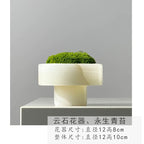 Crystal and Plant Symbiotic Mini Scene-283