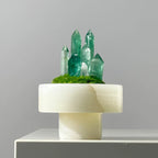 Crystal and Plant Symbiotic Mini Scene-283