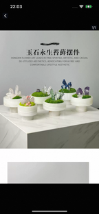 Crystal and Plant Symbiotic Mini Scene-283